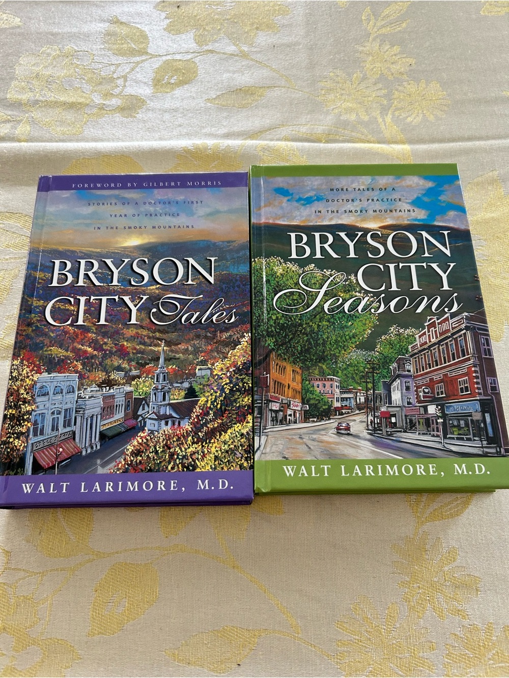 Bryson City Tales Bryson City Seasons by Walt Larimore